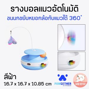 รางบอลแมวอัตโนมัติ สีฟ้า Pawgether Play 1 Se